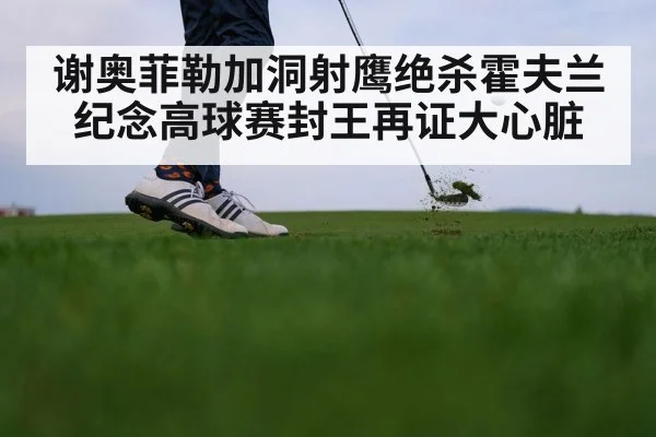 谢奥菲勒加洞射鹰绝杀霍夫兰 纪念高球赛封王再证大心脏